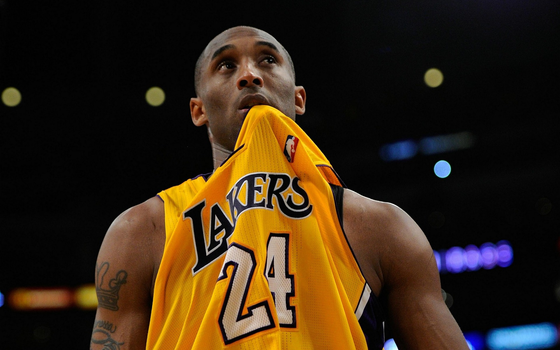 定了基础 定了基础