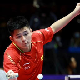 的国际赛场 的国际赛场