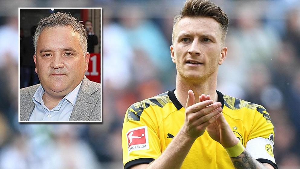 将成为参考 将成为参考